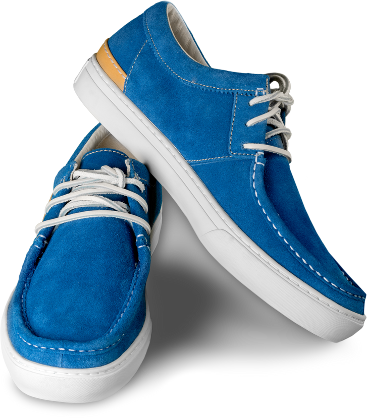Pair of Blue Shoes